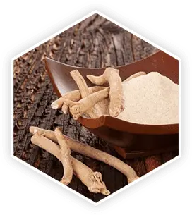 Ashwagandha in ProstaVive